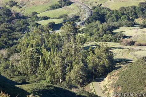 Cuesta Ridge Botanica Area | San Luis Obispo | Hikespeak.com