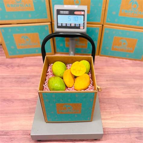 Coconut Cream Mango Box - Tropical Fruit Box