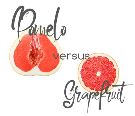 Pomelo vs. Grapefruit: How To Distinguish Between These Two - Tastylicious