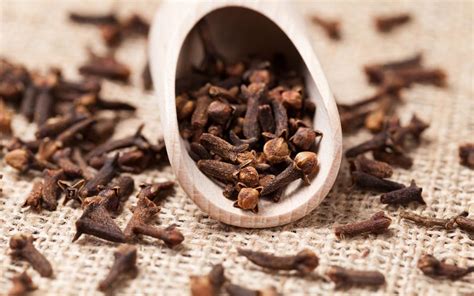 6 Incredible Uses of Cloves in Your Backyard – How to Care Of Your ...