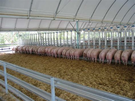 Installations at Piggeries | Unifarm