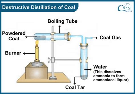 Coal and Petroleum Class 8 Notes | Science Olympiad