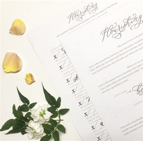 Free Calligraphy Flourishing Worksheets - Inkberry Calligraphy