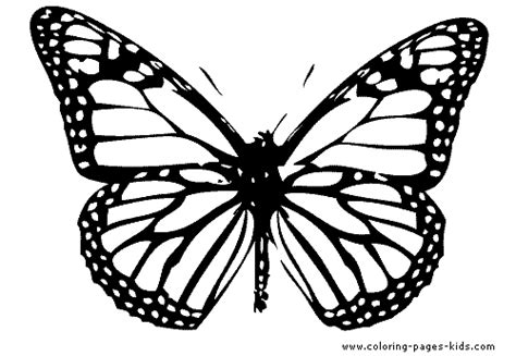 Butterfy Coloring Page For Kids - Single Butterfly