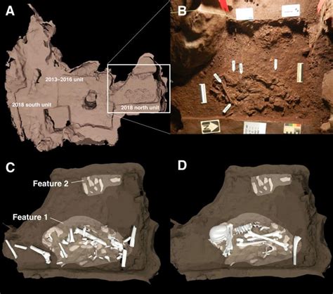 Image of two burial features discovered in the Dinaledi Chamber, Rising Star Cave South Africa ...