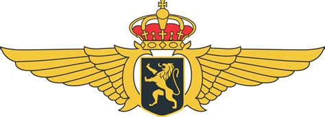 Belgian Air Component wings. | Air Forces - Belgian Air Force - Vliegtuig