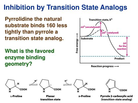 PPT - Enzyme Rate Enhancement PowerPoint Presentation, free download ...