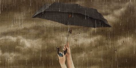 Rain Umbrella (GIF) | Day for night, Rain gif, Rain umbrella