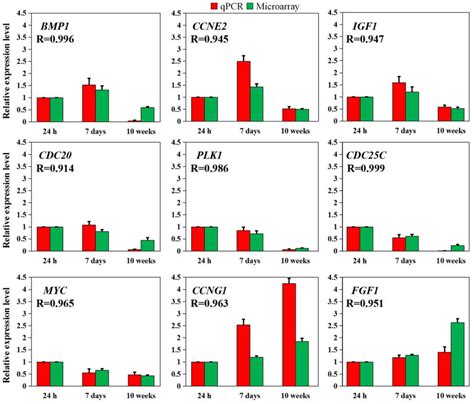 Global gene expression analysis combined with a genomics approach for the identification of ...