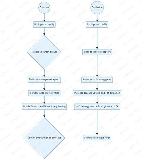 Ostarine Cardarine Stack: Expected Results + Dosage Guide