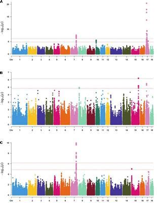 Frontiers | Genome-Wide Association Study for Body Length, Body Height, and Total Teat Number in ...