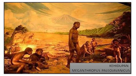 Meganthropus Paleojavanicus : Materi Terlengkap - Pelajaran Sekolah