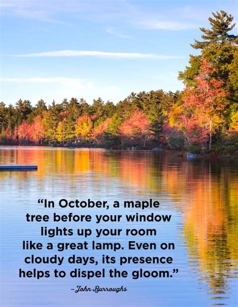 25 October Quotes - Famous Sayings and Quotes about October