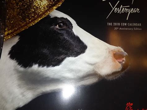 Chick-fil-a Cow CALENDAR 2018 NO CARD! Calendar ONLY Chickfila 20th ...