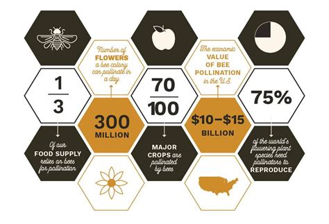 Why Keep Bees? | Bee, Bee facts, Bee keeping