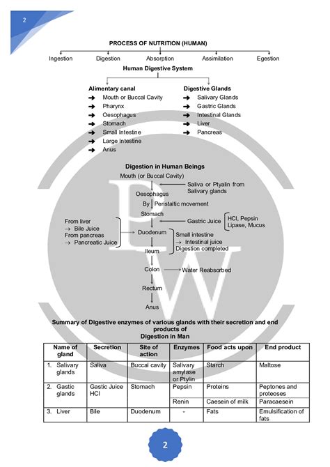 Learn Biology, Biology Facts, Study Biology, Science Biology, Basic ...