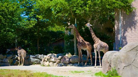 Roger Williams Park Zoo, Providence, Rhode Island, USA - Heroes Of Adventure