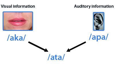 Audio-Visual Perception and Integration in Developmental Dyslexia: An ...