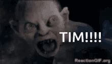 Tim Tam GIF - Tim Tam Tams - Discover & Share GIFs