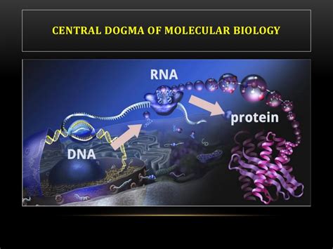 Genomics and proteomics (Bioinformatics)