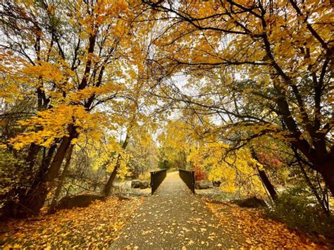 Top fall activities in Boise, Idaho