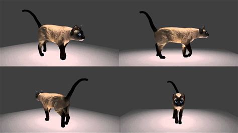 Cat Walk Cycle 3D Animation - YouTube