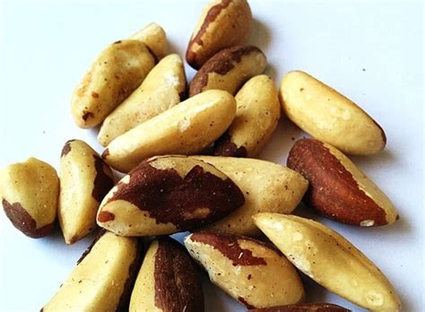 Brazil Nuts: Nature's Top Source of Selenium! - One Green Planet