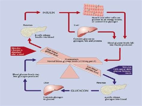 Hyperglycemic Crises