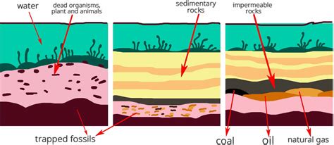 How is Petroleum Formed? Exploring the Process of Formation