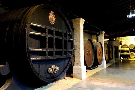 Bodegas Tío Pepe, uno de los mejores destinos enoturísticos del mundo