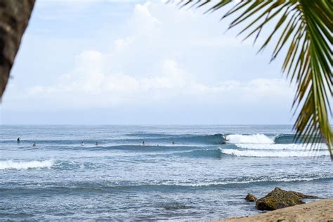 Surfing Puerto Rico / Everything You Need to Know