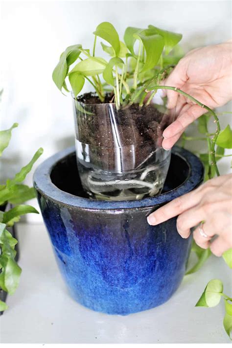 5 Self-Watering Planter Hacks You Have to Try | Diy self watering planter, Self watering plants ...