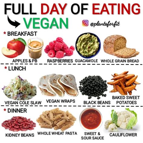 What to Eat Today