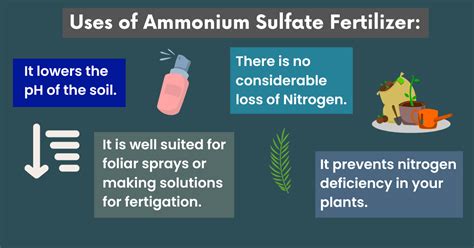 5 Amazing Uses of Ammonium Sulfate Fertilizer | 21-0-0 Fertilizer