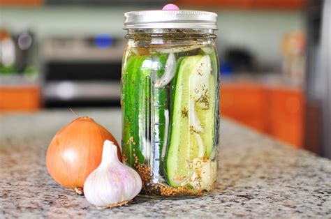 Homemade Lacto-Fermented Dill Pickle Recipe - The Fermentation Adventure