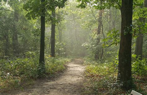 Mount Driskill, Louisiana's Highest Point | The Heart of Louisiana