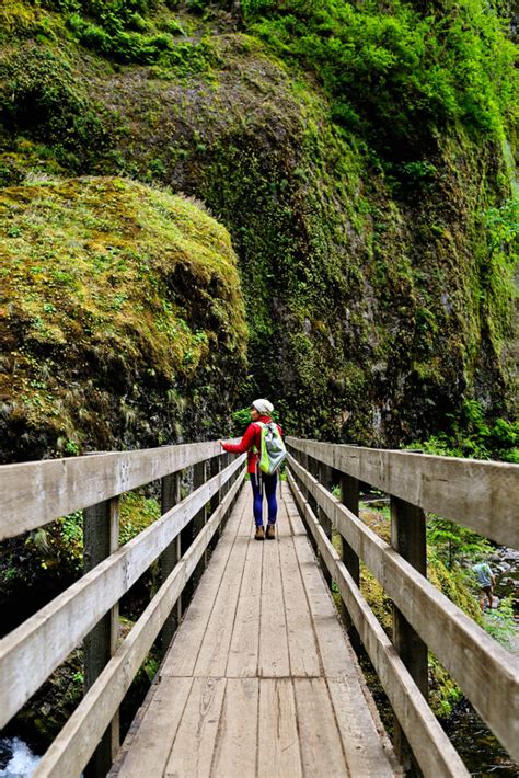 21 Best Hikes in the Columbia River Gorge Oregon » Local Adventurer