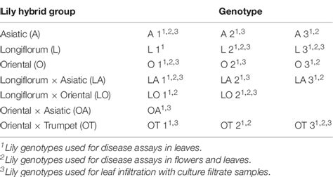 Table 1 from Fire Blight Susceptibility in Lilium spp. Correlates to Sensitivity to Botrytis ...