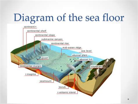 Seafloor Diagram | Review Home Co