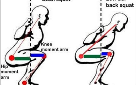 Low Bar Squat vs High Bar Squat | More Than Muscle