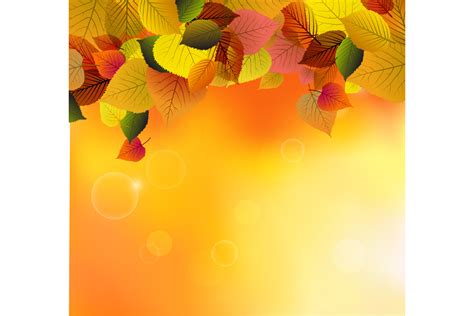 Autumn Background with Tree Leaves Graphic by Actart Designs · Creative ...