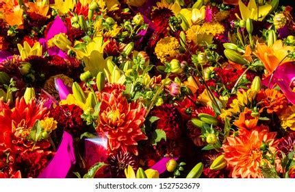 Bright Flowers Filling Frame Stock Photo 1527523679 | Shutterstock