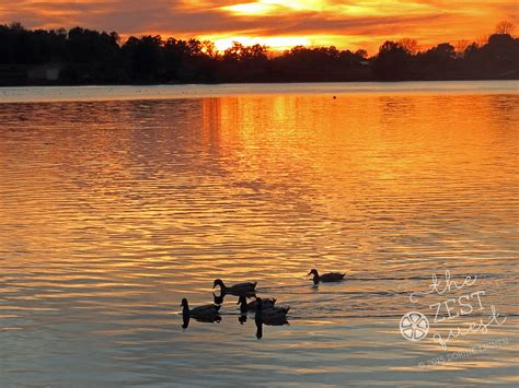 Sunset-at-Springfield-Lake-Ohio-highlights-ducks-out-for-a-paddle-2-The-Zest-Quest