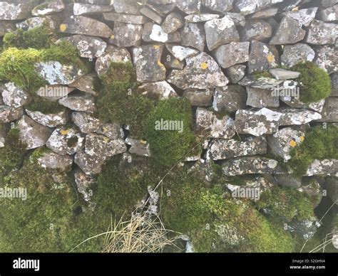 Stone wall with moss Stock Photo - Alamy