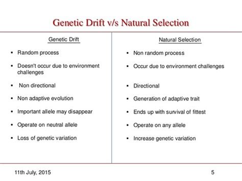 speciation & adaptations / Genetic drift, natural selection Flashcards | Quizlet