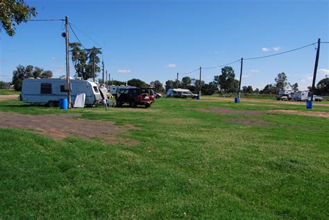 Narrabri Showground (CG) - Full Range Camping Directory