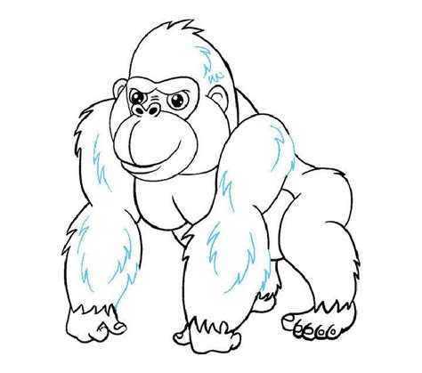 Gorilla Drawing Face