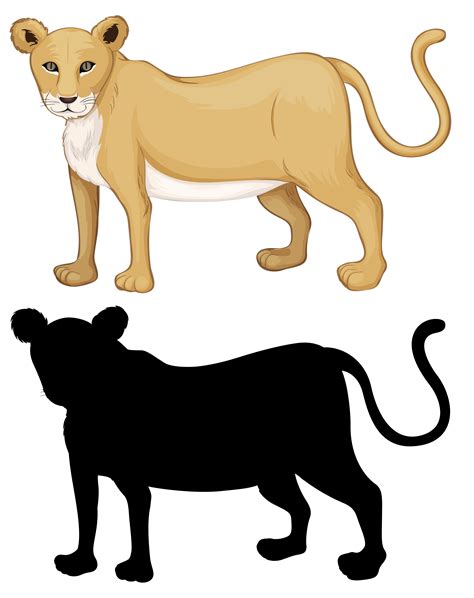 Set of female lion character 433164 Vector Art at Vecteezy