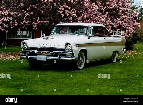 1956 Plymouth Fury Stock Photo - Alamy