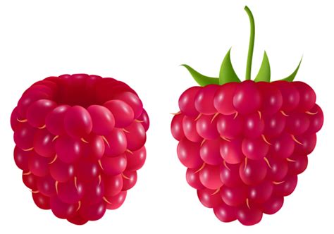 Transparent Raspberry PNG Clipart Picture | Fruit photography, Raspberry images, Clip art